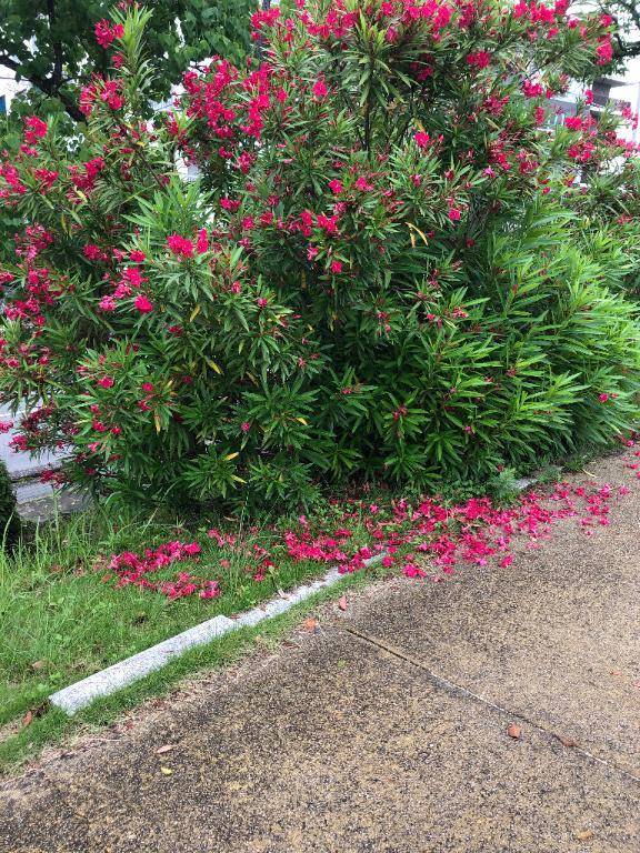 16時から出勤いたします🙇‍♀️