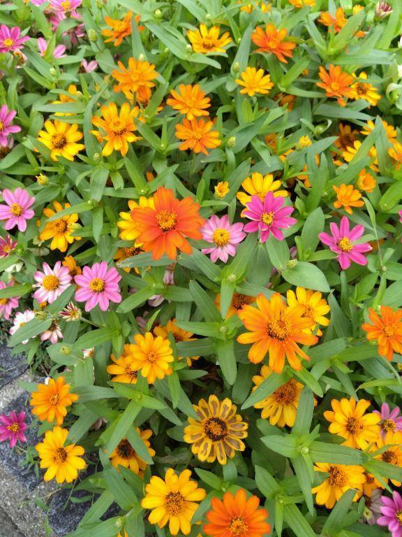 おはようございます。