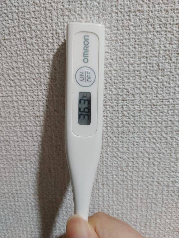 おはようございます。