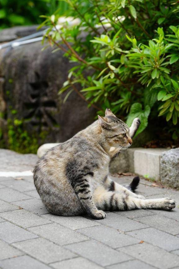 [お題]健康的に。