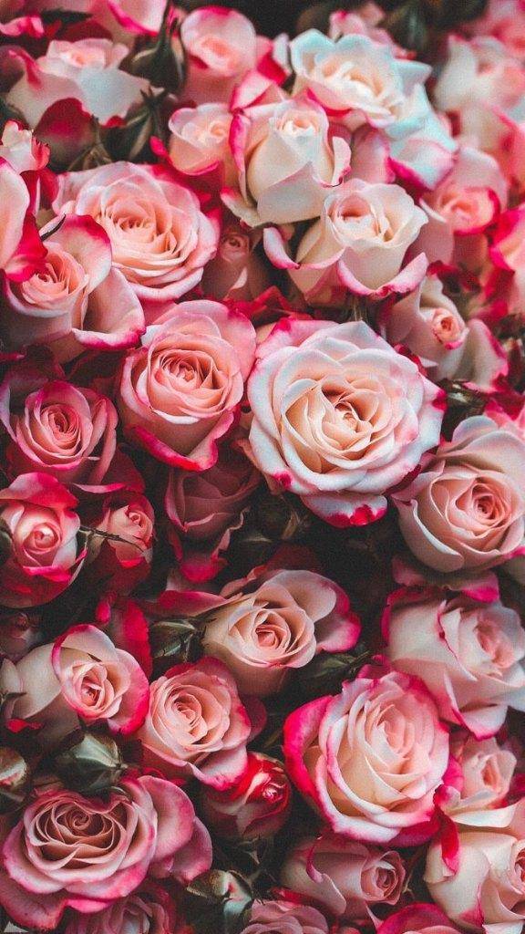 昨日のお礼💌ですッ
