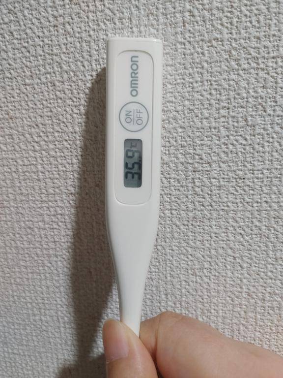 おはようございます。