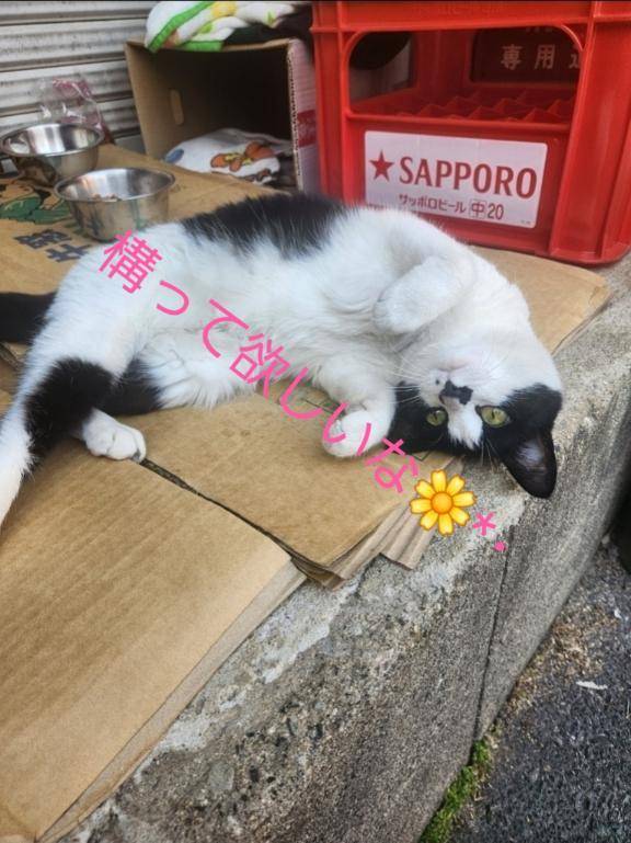 時間変更♪