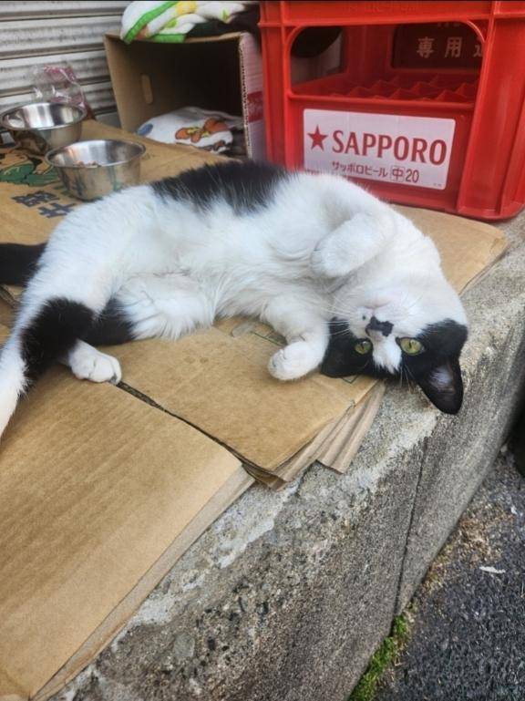 時間変更♪