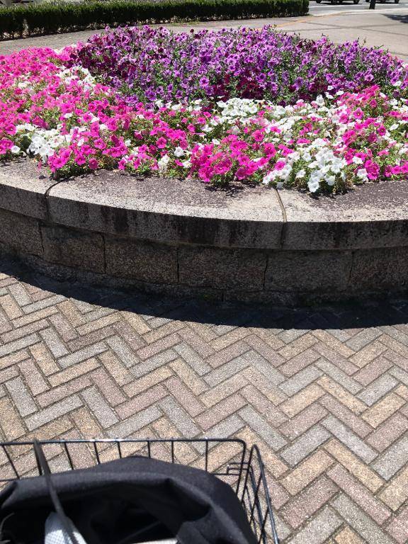 おはようございます