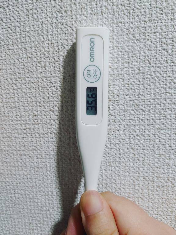 おはようございます。