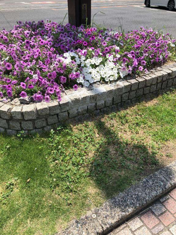 ラストのお兄様へ