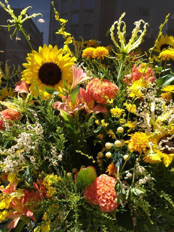 おはようございます♪