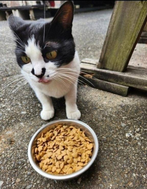 こんにちは♪
