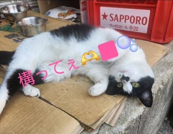こんばんは♪