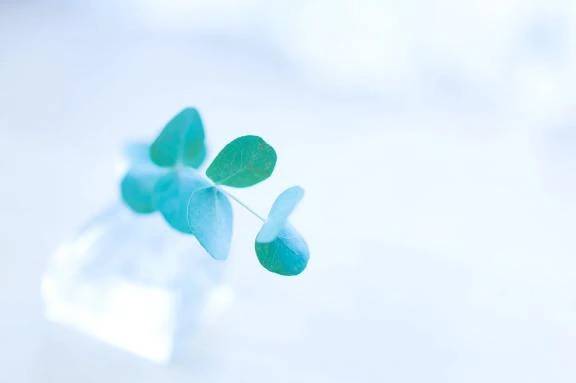 日曜日にご予約くださっていたお客さまへ♡