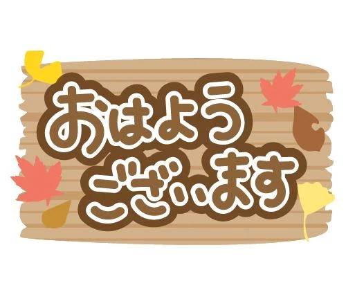 美奈です