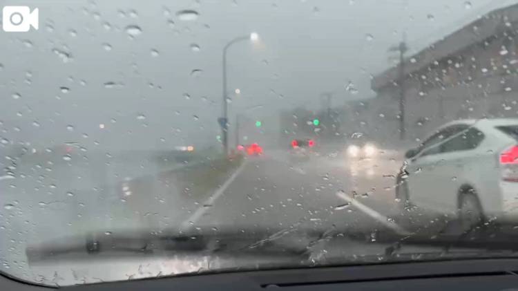 雨と雷が…怖いです(泣)