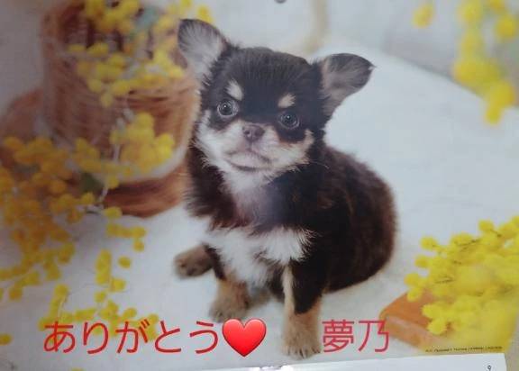 中区　ご自宅さまにお礼