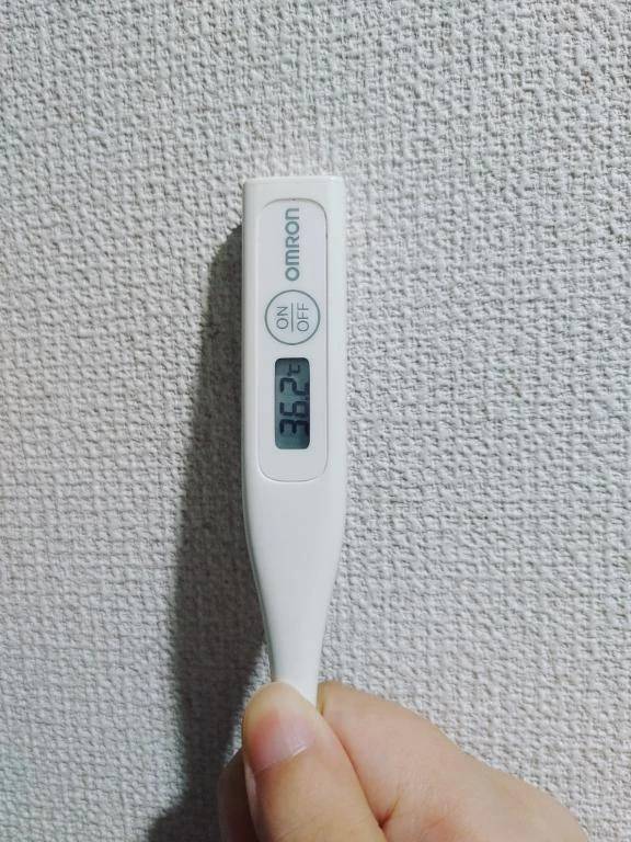 おはようございます。