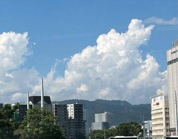 出勤しました♡