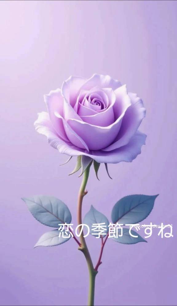 9月20日土曜日♪︎