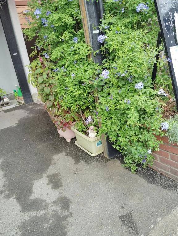 今から出勤準備します🙇