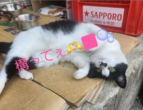 こんばんは♪