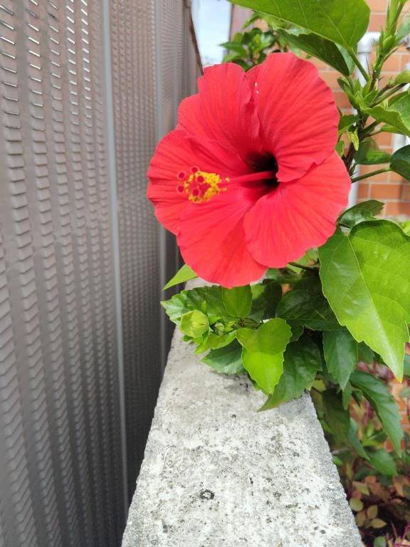 雨が、止んで良かった💞