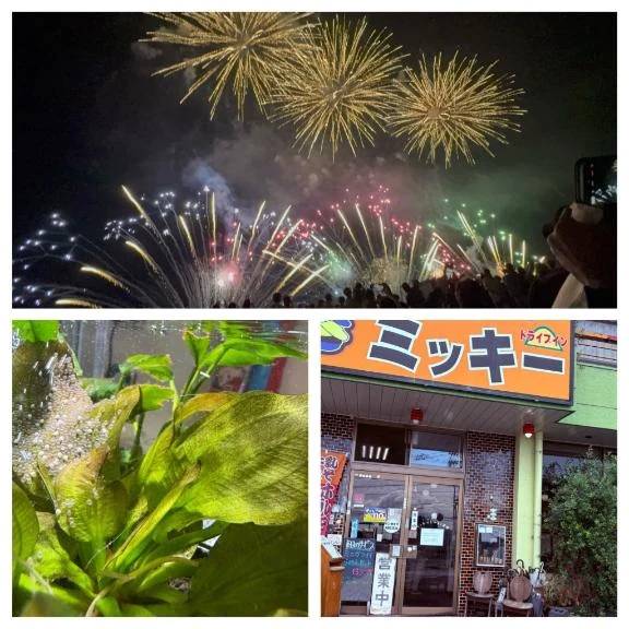 おはようございます🙃🙂