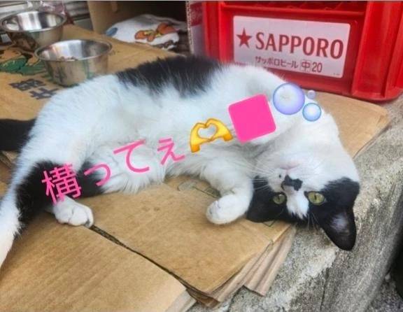 こんばんは♪