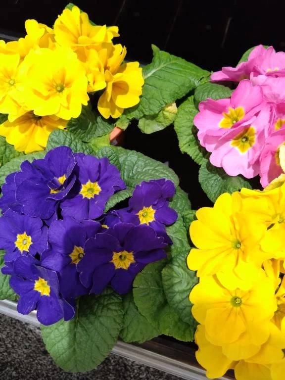 鷹野橋のリピ様へ❤️