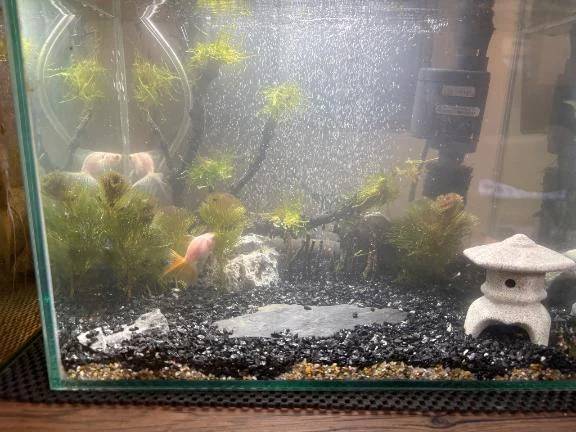 おはようございます