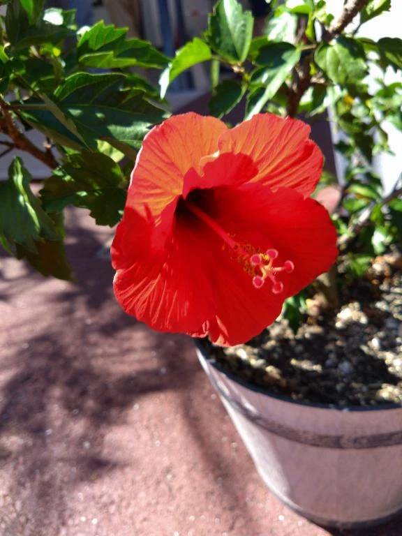 ありがとうございました♪