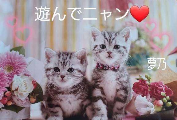 11時から出勤します♪︎♪︎