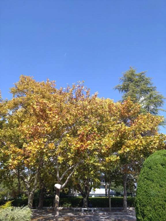 おはようございます♪