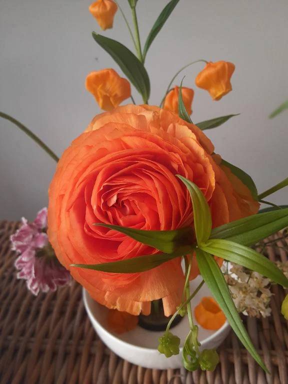 ロマンのリピ様へ❤️