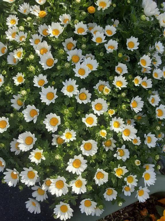 鷹野橋のお兄様へ❤️