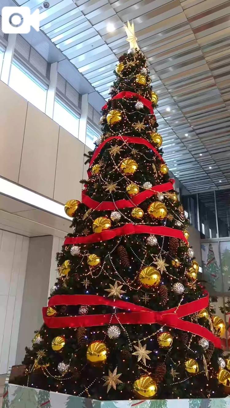 駅にはクリスマスツリー♪