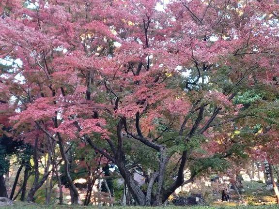 待ち合わせさまにお礼
