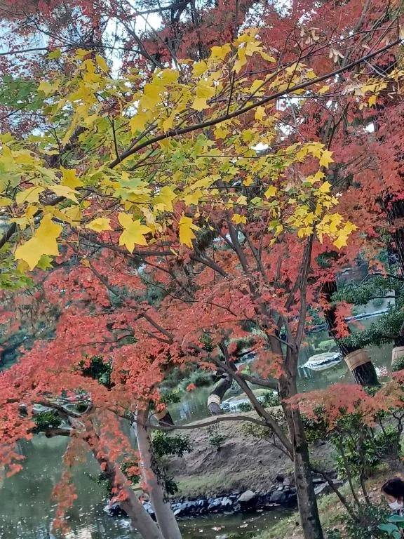 ジャパンさまにお礼