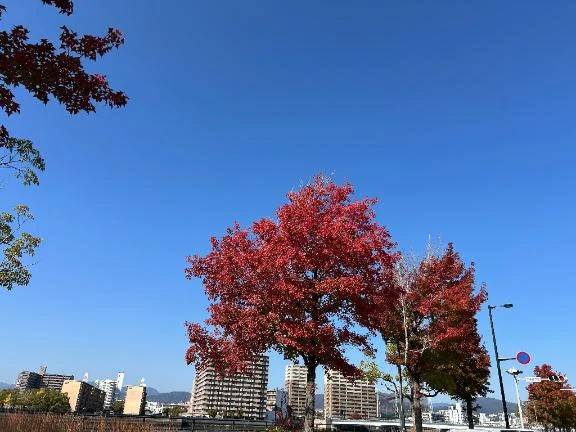 おはようございます