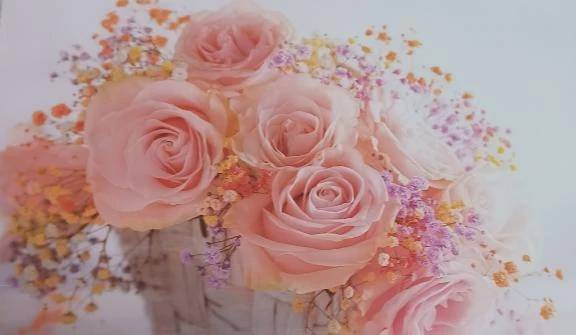 アパホテルさまにお礼