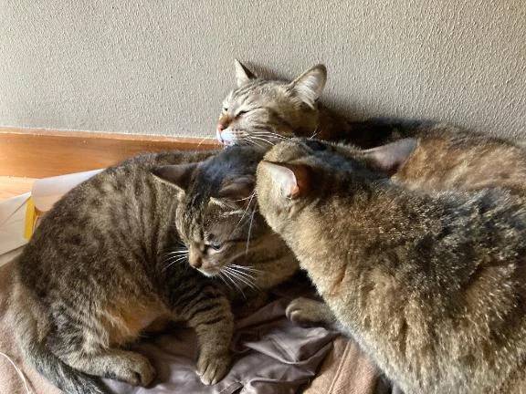 [お題]不思議ですね。