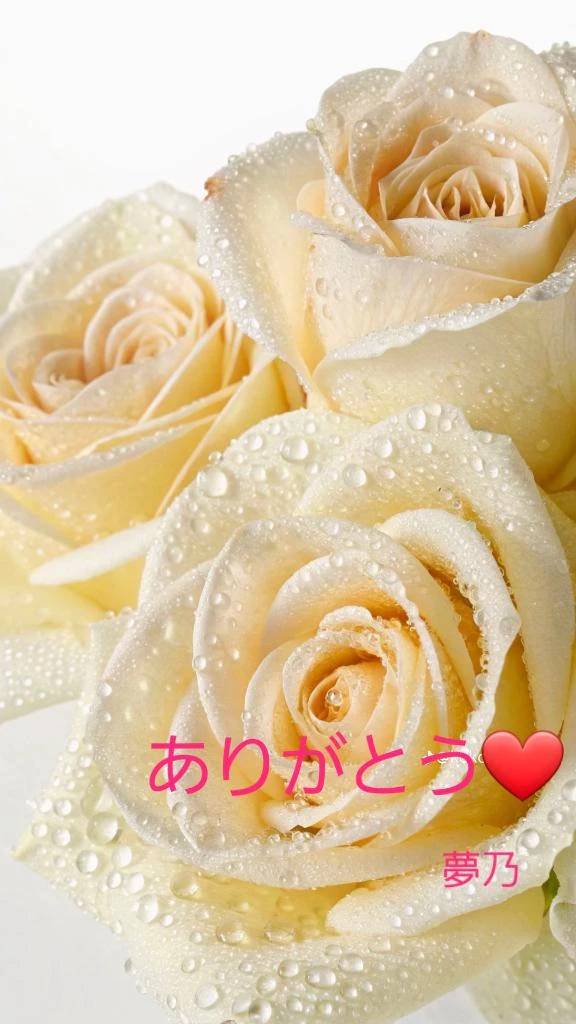 ご自宅さまにお礼