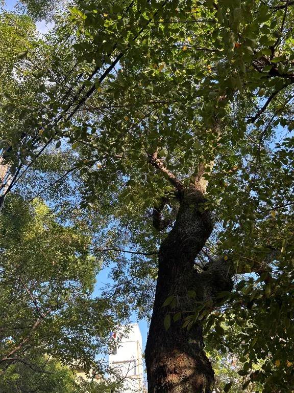 おはようございます