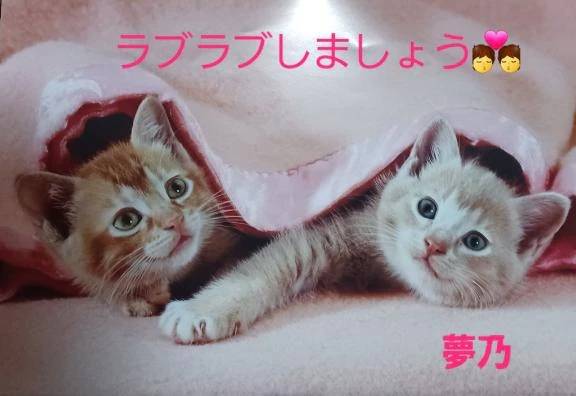 次回の出勤てす♪︎