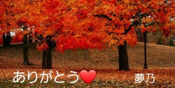 レスティさまにお礼