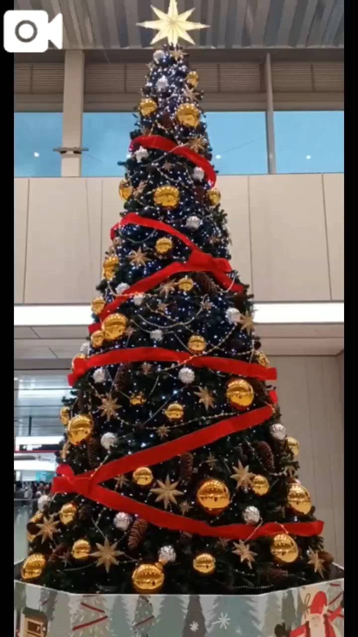 クリスマス気分🎄