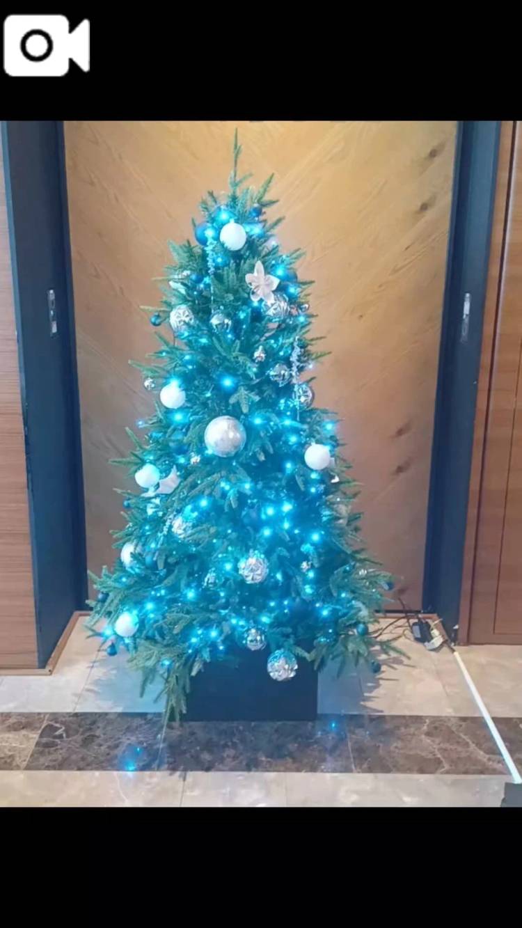 青のツリーもきれいだね🎄