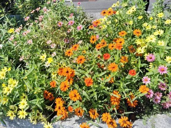 晴れましたね～❤