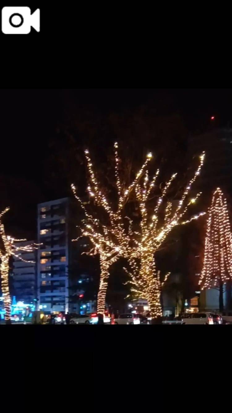 ひろしまドリミネーション2025♪