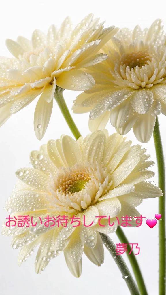 11時30分から出勤します♪︎