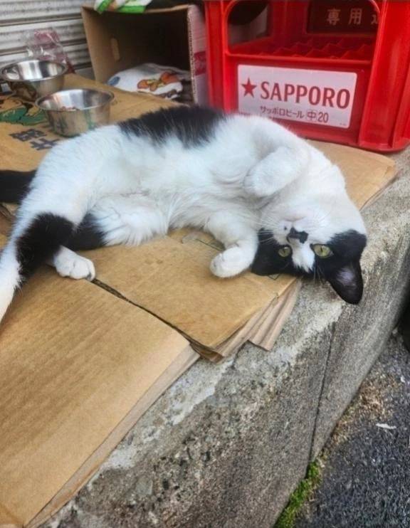 …(((･ω･　)ｽｽ…ﾋﾟﾀ…