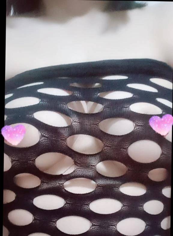 【アニマル診断】今日の運勢ランキング